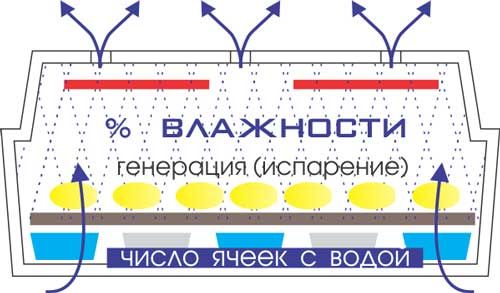 схема воздухообмена (вентиляции) в инкубаторе "Идеальной наседки"