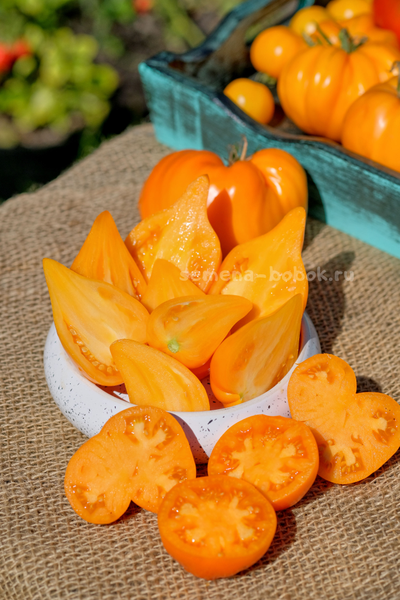 Томат Заилийский Алатау Желтый, 10 шт