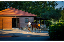 Конная прогулка по окрестностям Дубровника на пол дня