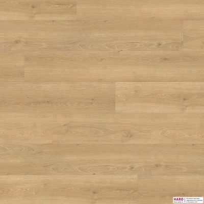 Декор ламината Haro Tritty 200 Aqua Клен Серебрянный Варио 544781 фронт