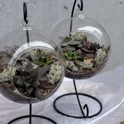 Флорариум подвесной