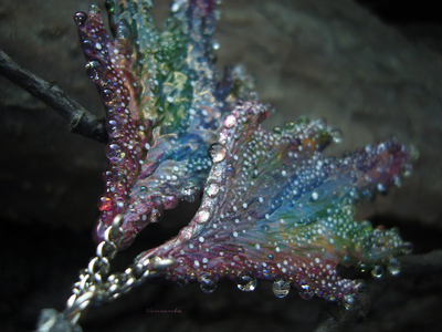 Комплект украшений из серёжек-крылышек и цветочка-кольца "Галлициниум, фея Рассветного Сада"