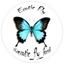 Студия особенных букетов "Ферма бабочек" EXOTIC FLY KRSK"