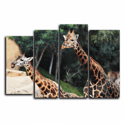 Модульная картина "Дружные жирафы"