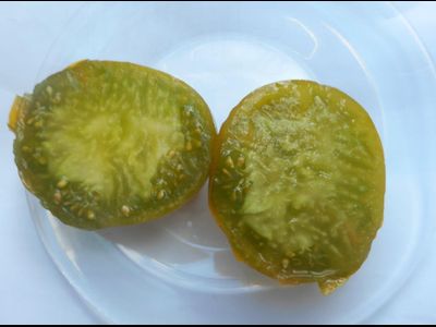 Томат Зеленая тайна мистера Граба (Grubs mysteri green) Австралия,