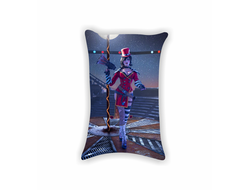 Подушки Borderlands, Бордерленд №41