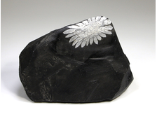 Хризантемовый камень, Целестин на аргиллите, Китай (85*65*45 мм, вес: 335 г) №25188