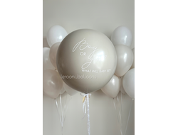 Комплект на гендер-пати №2