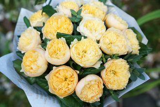 Голден Вувузела(Golden Vuvuzela) De Ruiter