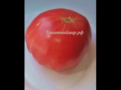 Томат Итальянское дерево (Italian Tree) Италия