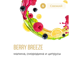 ELEMENT V 25 г. - BERRY BREEZE (МАЛИНА-СМОРОДИНА-ЦИТРУСЫ)