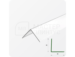 УГОЛ ДЕКОРАТИВНЫЙ 10Х10 УП 01-27.2700.501Л СЕРЕБРО (матовый)