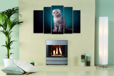 Модульная картина "Позирует"