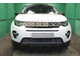 Защита радиатора Land Rover Discovery Sport 2014- black