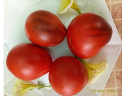 Томат Синяя груша