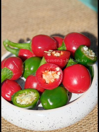 Перец острый Jalapeno Bomb F5, 10 шт