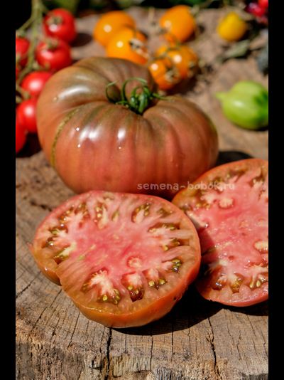 Томат Черное с Носиком от Борисовны, 10 шт