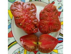 Томат Rebel Starfighter Prime (Мятежный звездный истребитель)