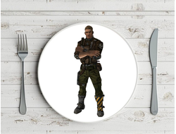 Тарелка Borderlands, Бордерленд №23