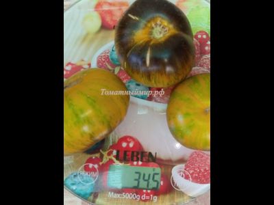 Томат Зеленая богиня Ксанаду (Xanadu Green Goddess), США