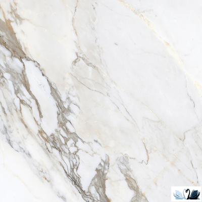 Керамогранит Laparet Calacatta Roma 60 x 60 см матовый под мрамор Vagli