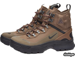 Nike ACG Zoom Gaiadome Gore-Tex Brown (40-45)