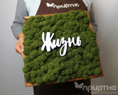 ЖИВАЯ ЭКО-КАРТИНА 1061