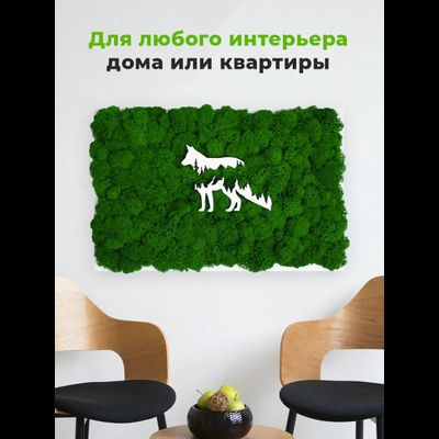 ЖИВАЯ ЭКО-КАРТИНА 1036