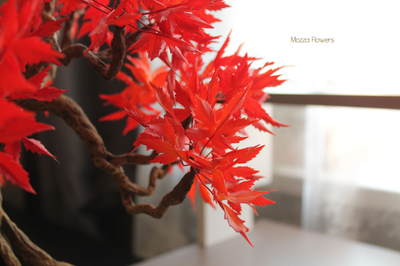 Бонсай "Осенний клен" , ручная работа из полимерной глины