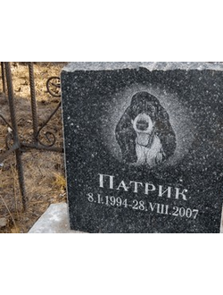 Памятник для животных 1