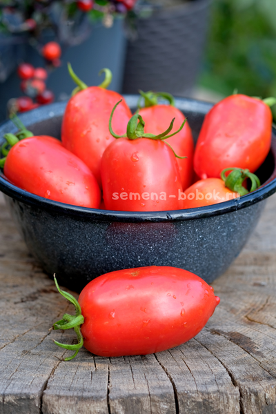 Томат Incas (Инки), 10 шт