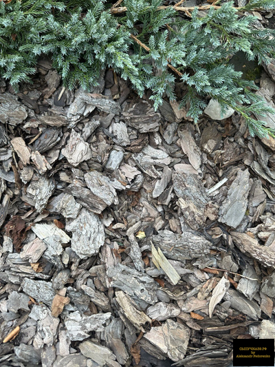 кора мульча