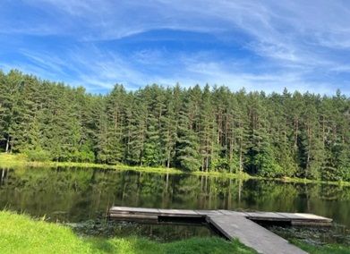 Пляж | Ферма СытникЪ