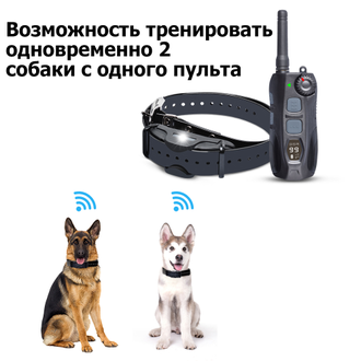 Электронный ошейник для собак DT4200