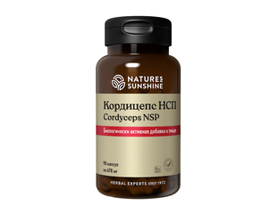 БАДы компании NSP (НСП) - Кордицепс НСП (Cordyceps NSP), 90 капсул по ...