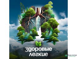 ЗДОРОВЫЕ ЛЕГКИЕ