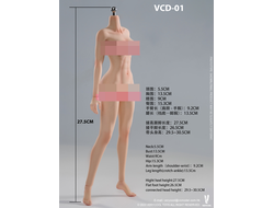Супер-подвижное бесшовное женское тело (ТЕЛОИД) 1/6 - Articulated Silicone Medium Bust Female Body (VCD-01A) - VERYCOOL