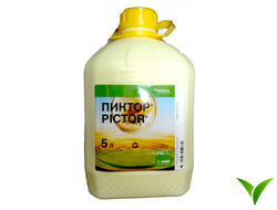 Пиктор КС 5 л