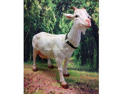 КОЗОЧКА садовая фигура 42*46см  1,7кг  полистоун - не боится влаги и перепадов температур  Россия 2348/012697