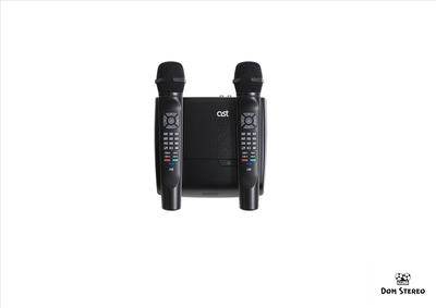 AST HOME Профессиональная караоке система для дома