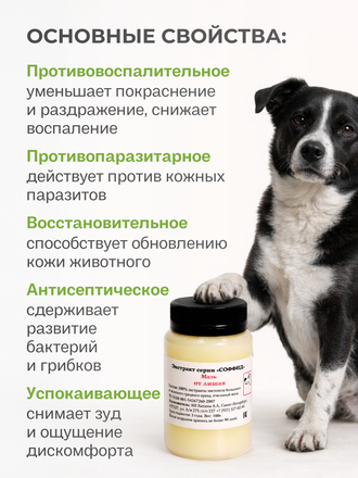 МАЗЬ ОТ ЛИШАЯ ДЛЯ СОБАК, 100 ГР.