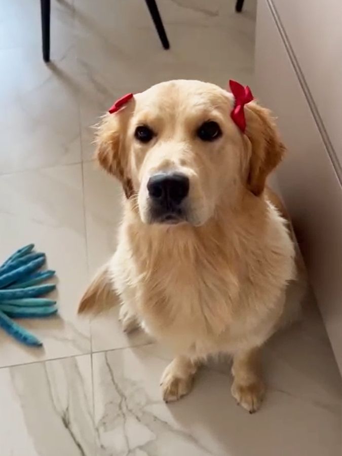 Юка (Русское Золото Юаника), 1 год