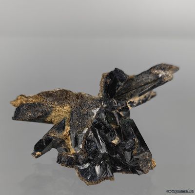 Вивианит, сидерит. Светлинское (Au) месторождение. Россия. 55*23*30мм