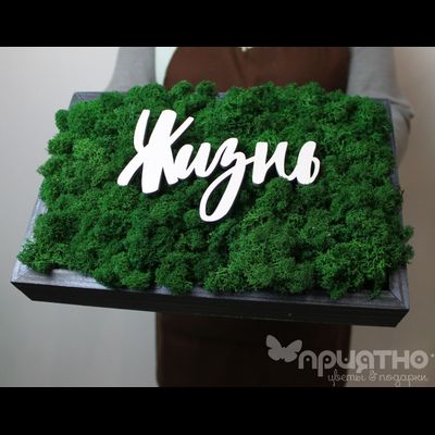 ЖИВАЯ ЭКО-КАРТИНА 1054