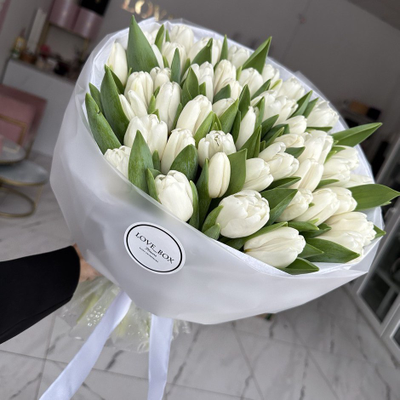 БУКЕТ ИЗ 49 БЕЛЫХ ТЮЛЬПАНОВ
