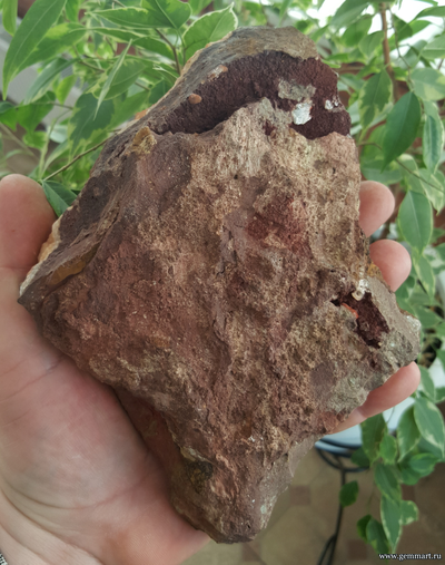 Кальцит и сидерит. Россия. 195*145*55мм