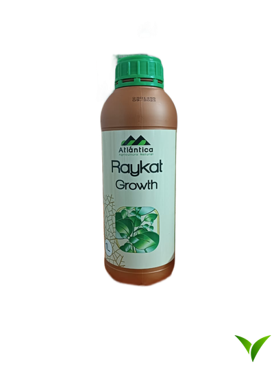 Райкат Развитие 1 л
