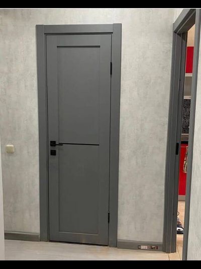OPTIMA PORTE (ОПТИМА ПОРТЕ)/ TURIN (ТУРИН) 502 АПП SB, СЕРЫЙ/ ПОЛОТНО ГЛУХОЕ с ГОРИЗОНТАЛЬНЫМ ЧЕРНЫМ МОЛДИНГОМ
