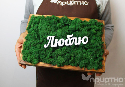 ЖИВАЯ ЭКО-КАРТИНА 1053