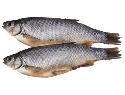 Язь вяленый